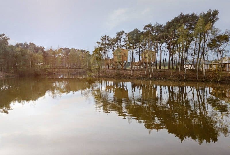 boomhut beekse bergen