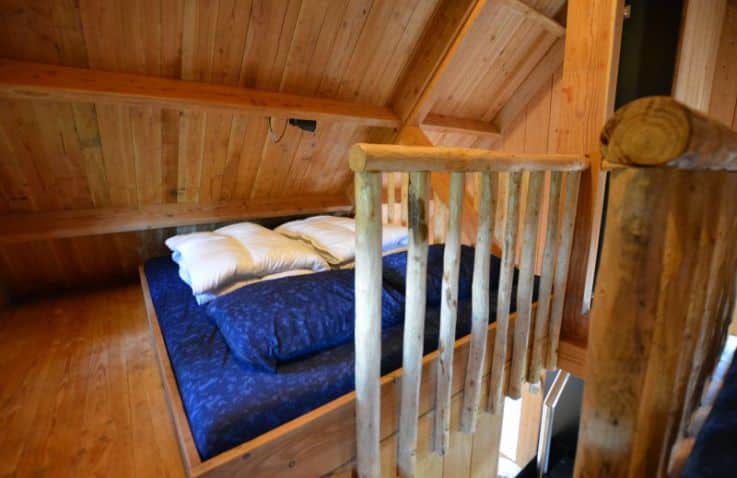 Boomhut Camping de Wije Werelt