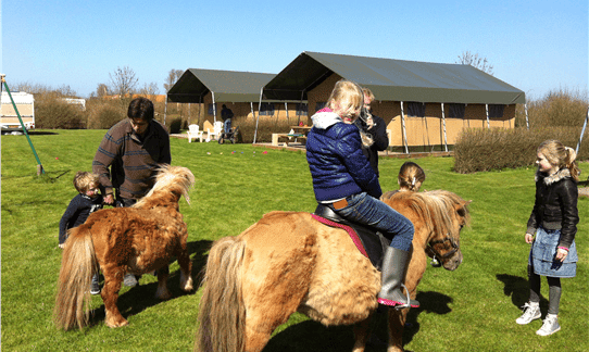 FarmCamps Mariekerke