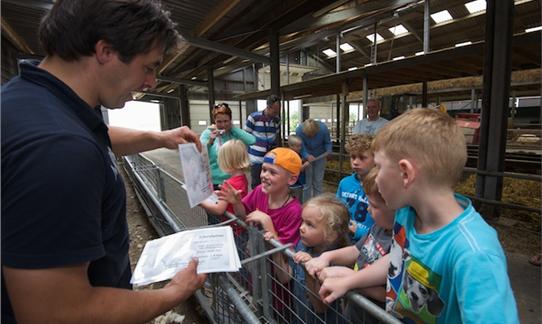 FarmCamps Mariekerke