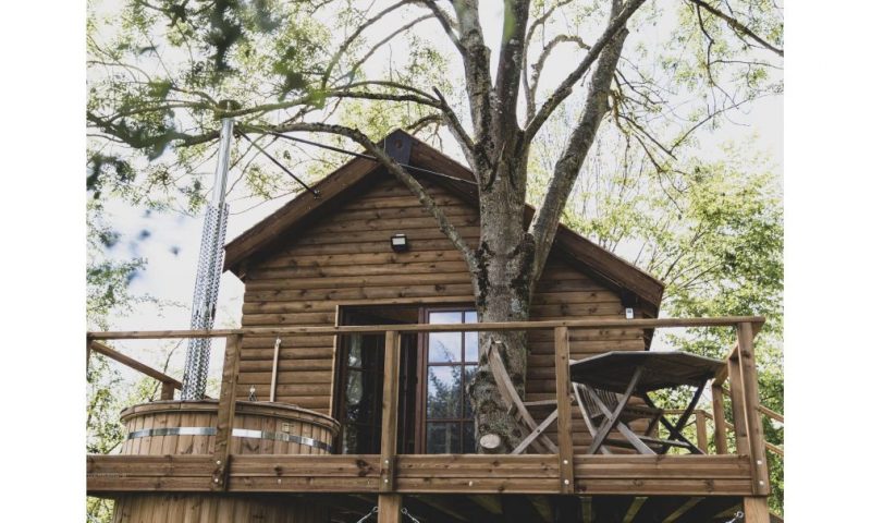 Boomhut met Sauna en Hottub