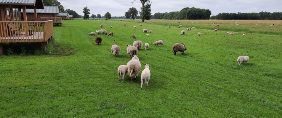 Overnachten in een Acker Lodge in Drenthe