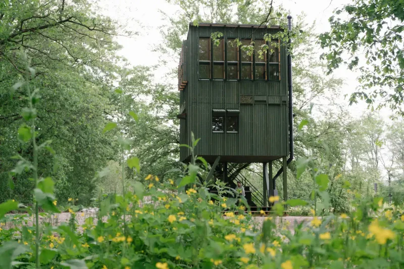Tiny House op de Veluwe