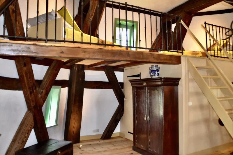 Boomhut Vakantiepark Westerbergen