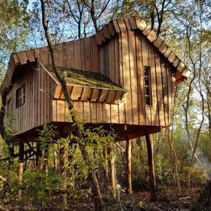 Boomhut camping de Reeënwissel