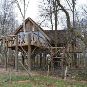 Boomhut Camping d’Olde Kamp