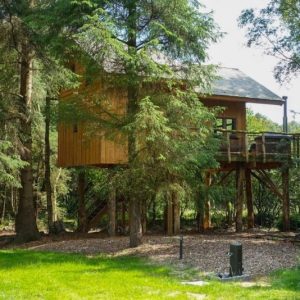 Boomhut Ruinen