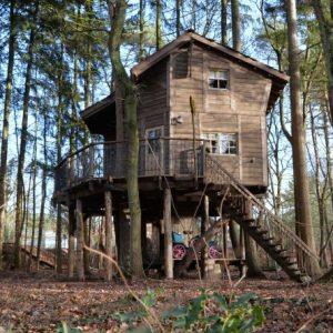 Boomhut Vakantiepark Drouwenerzand