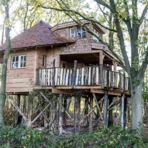 Boomhut Vakantiepark Westerbergen