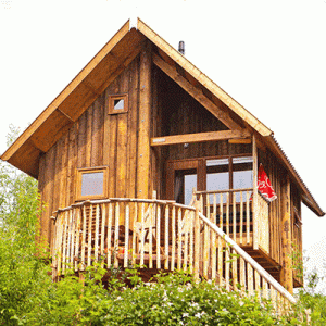 Boomhut de Vossenburcht