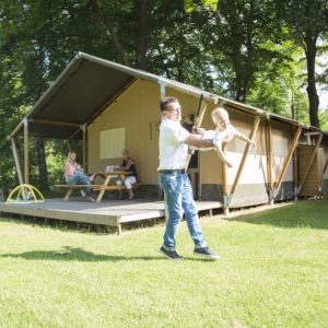Vakantiepark het Grote Bos Vakantiepark het Grote Bos