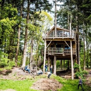 boomhut Camping Torentjeshoek