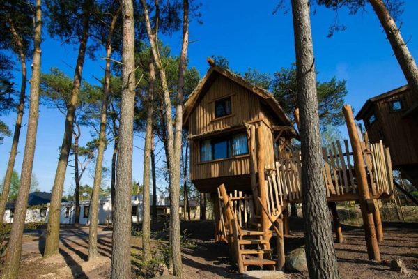 boomhut beekse bergen